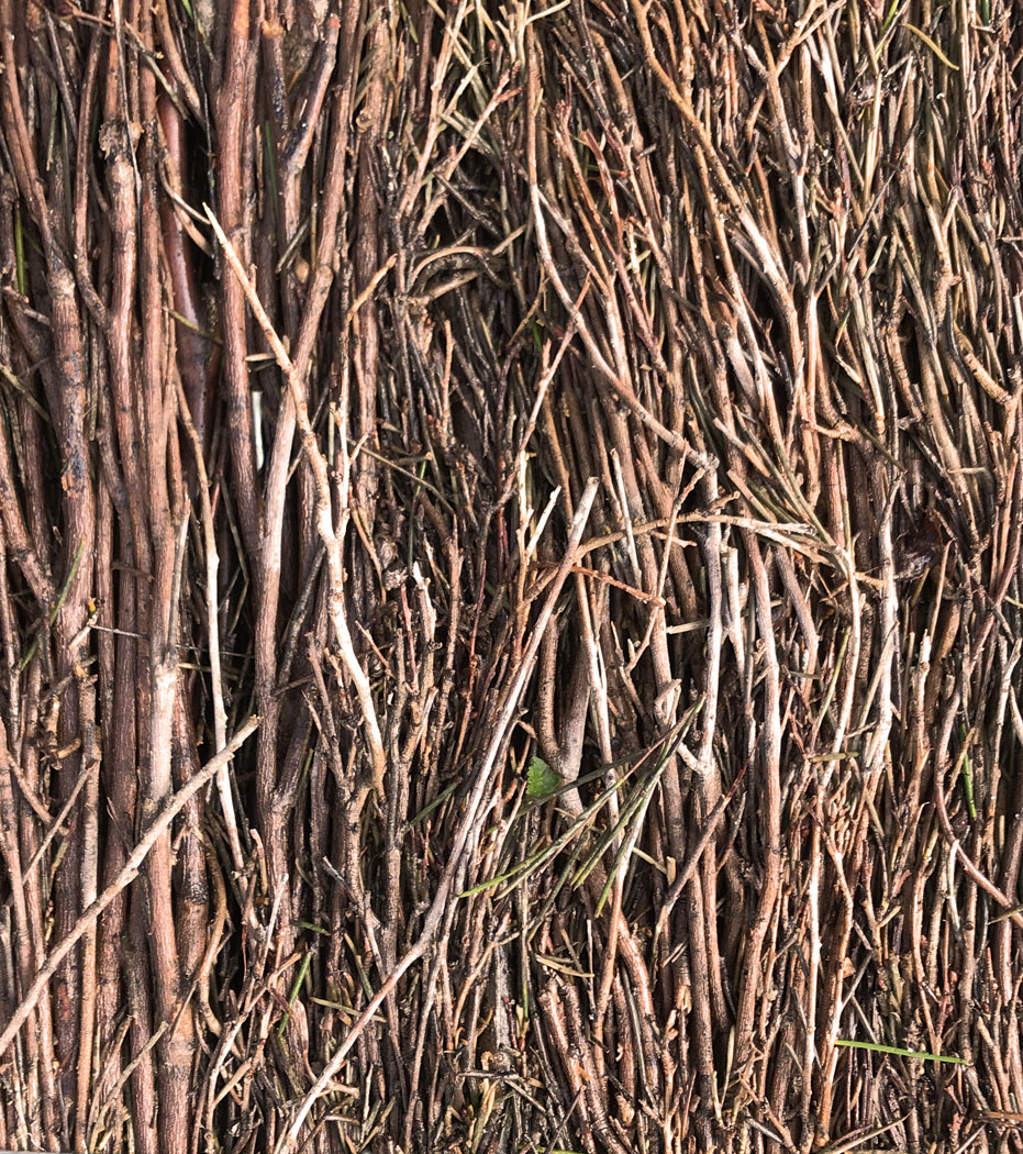 Close-up view of an australian brushwood fencing panel