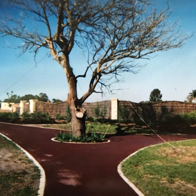 Brushwood driveway gates